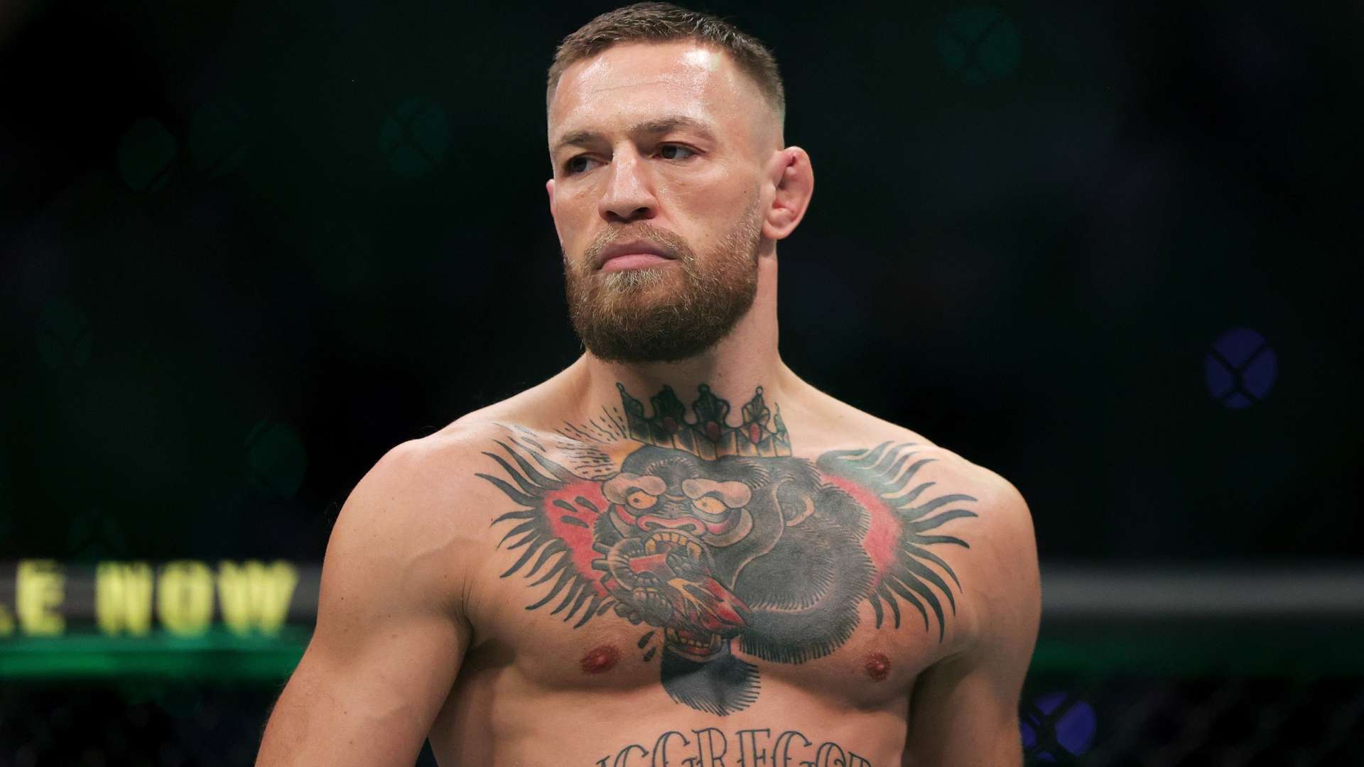 和赛场经验 和赛场经验