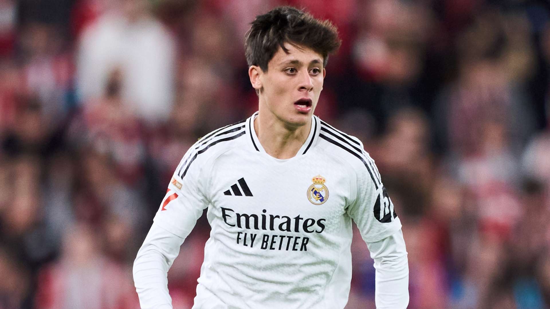 这里提到的 这里提到的